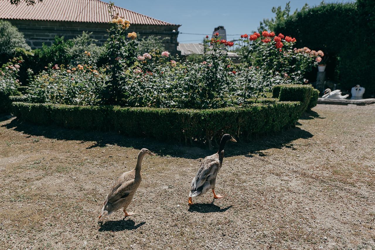 Bed & Breakfast Casa Dos Pombais 4*
